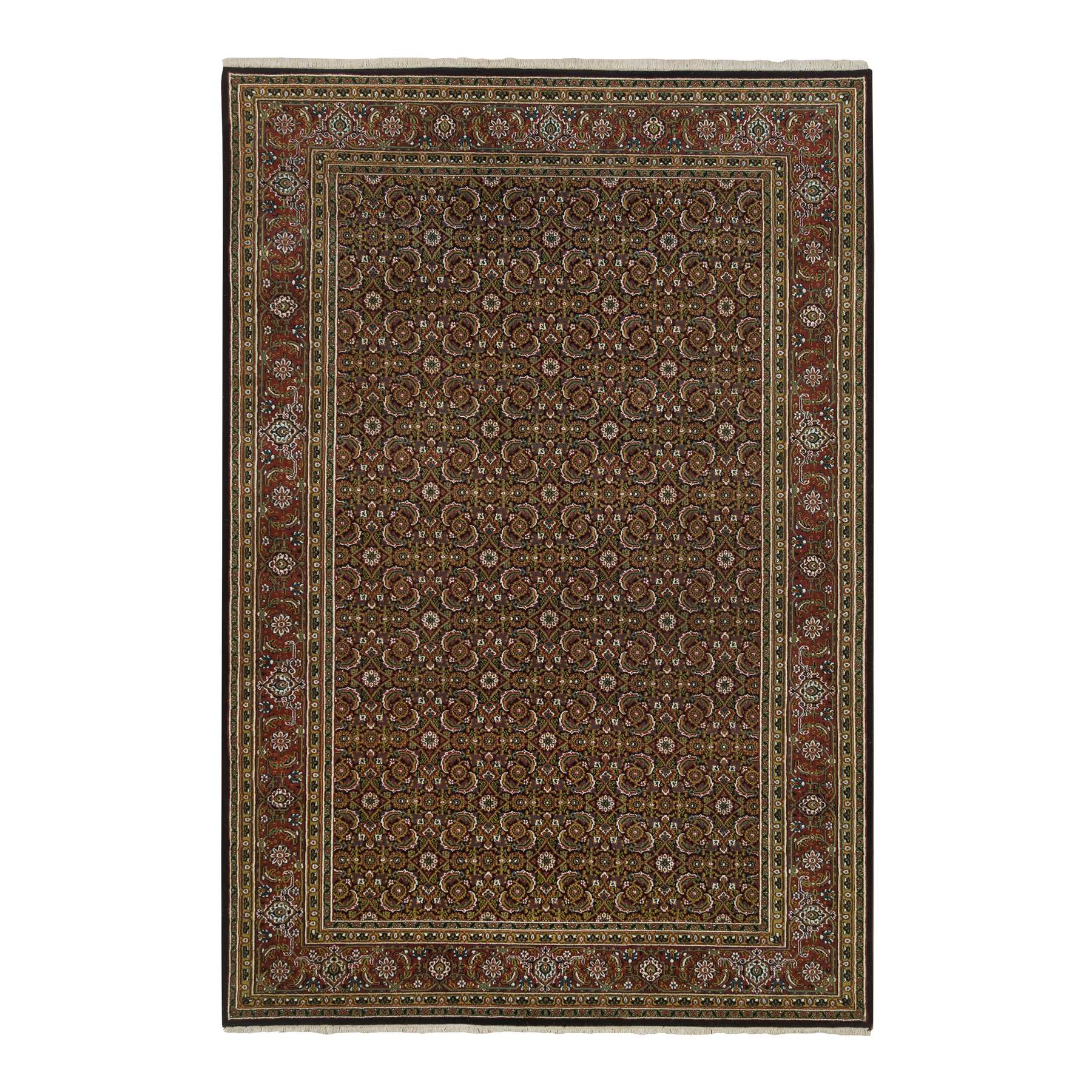 Traditional Rugs LUV586035